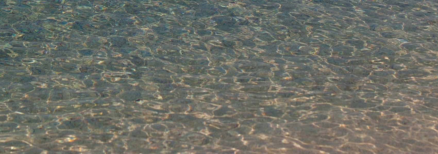 Close-up of water surface with ripples and reflections
