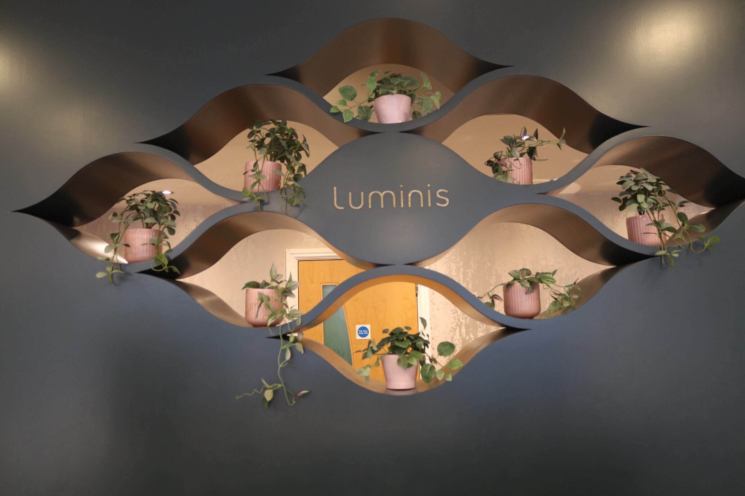Details of a navy painted feature wall in the reception of Luminis Reigate, with plants filling cut outs in the wall. 
